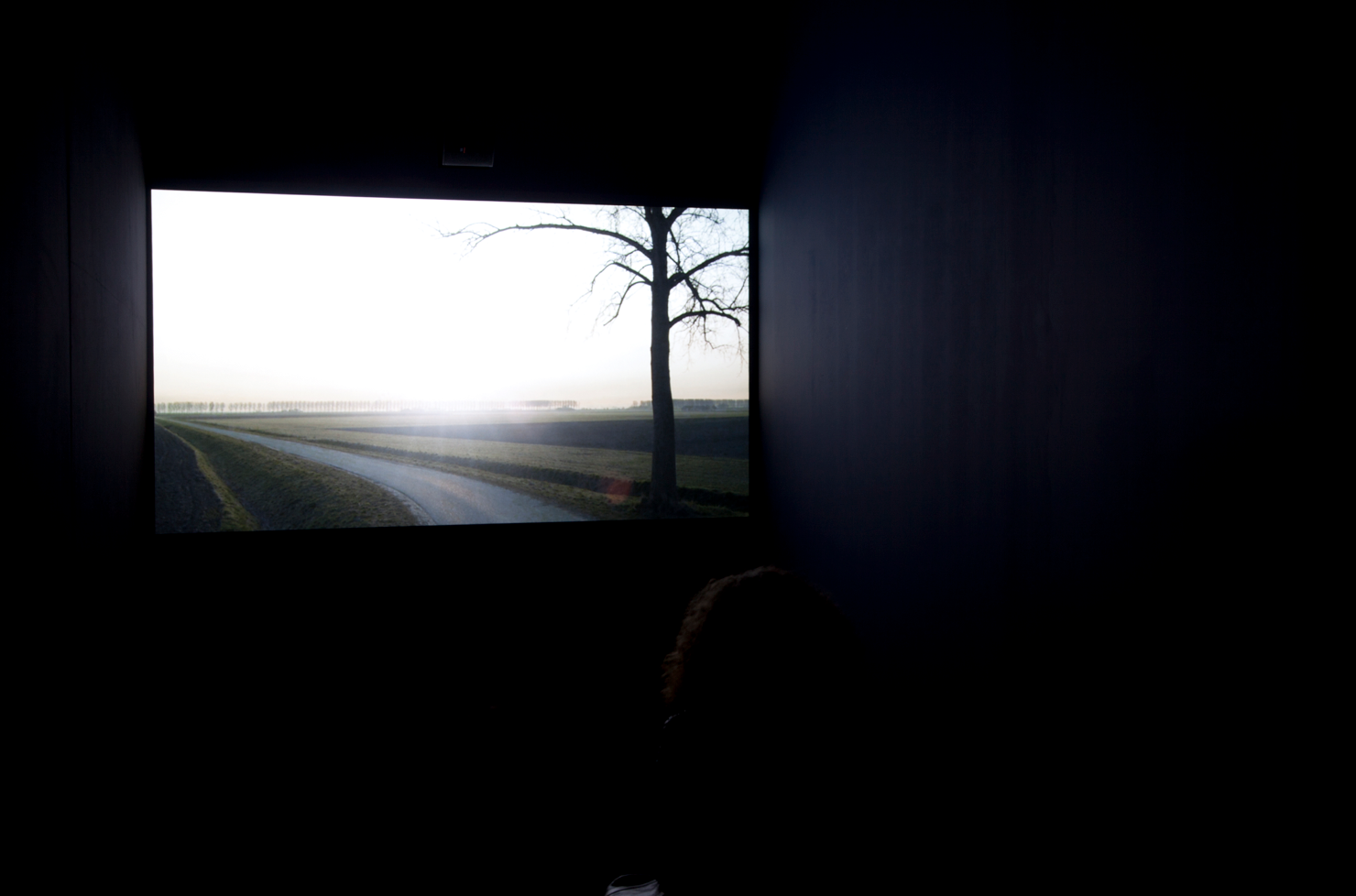  all photos Jef Jacobs