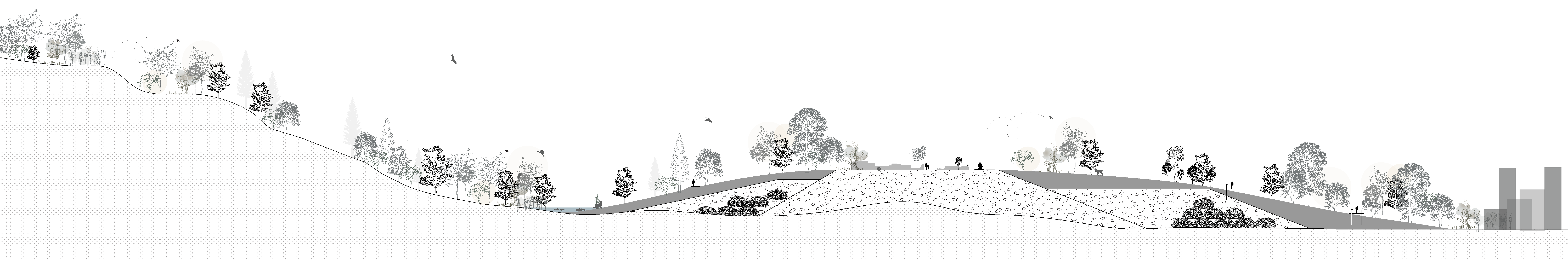 Lifecycle of the mining halo