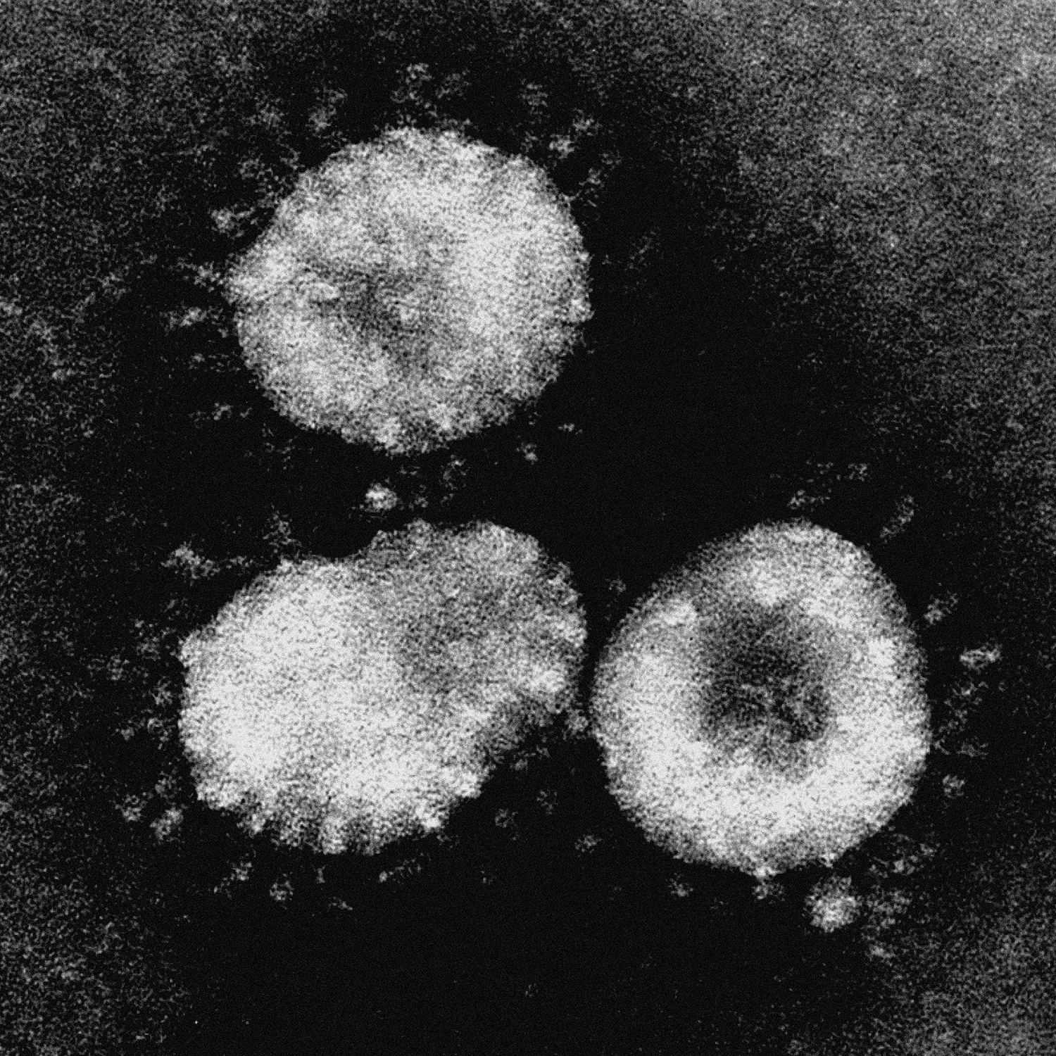 compilations confinées