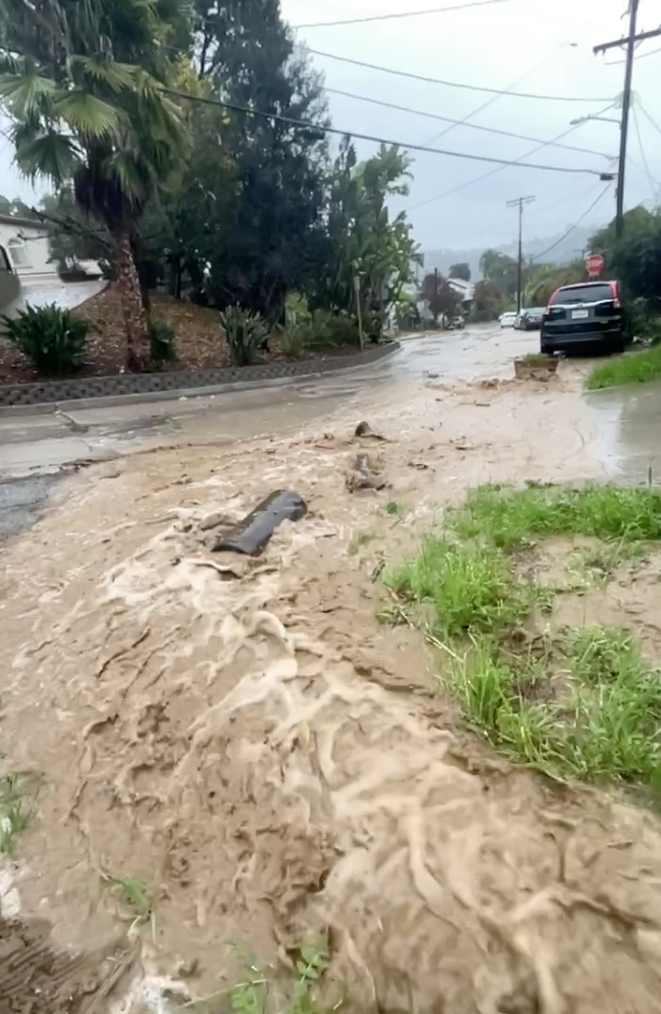 Fig 6. Several logs flowing out into the street, December, 2025