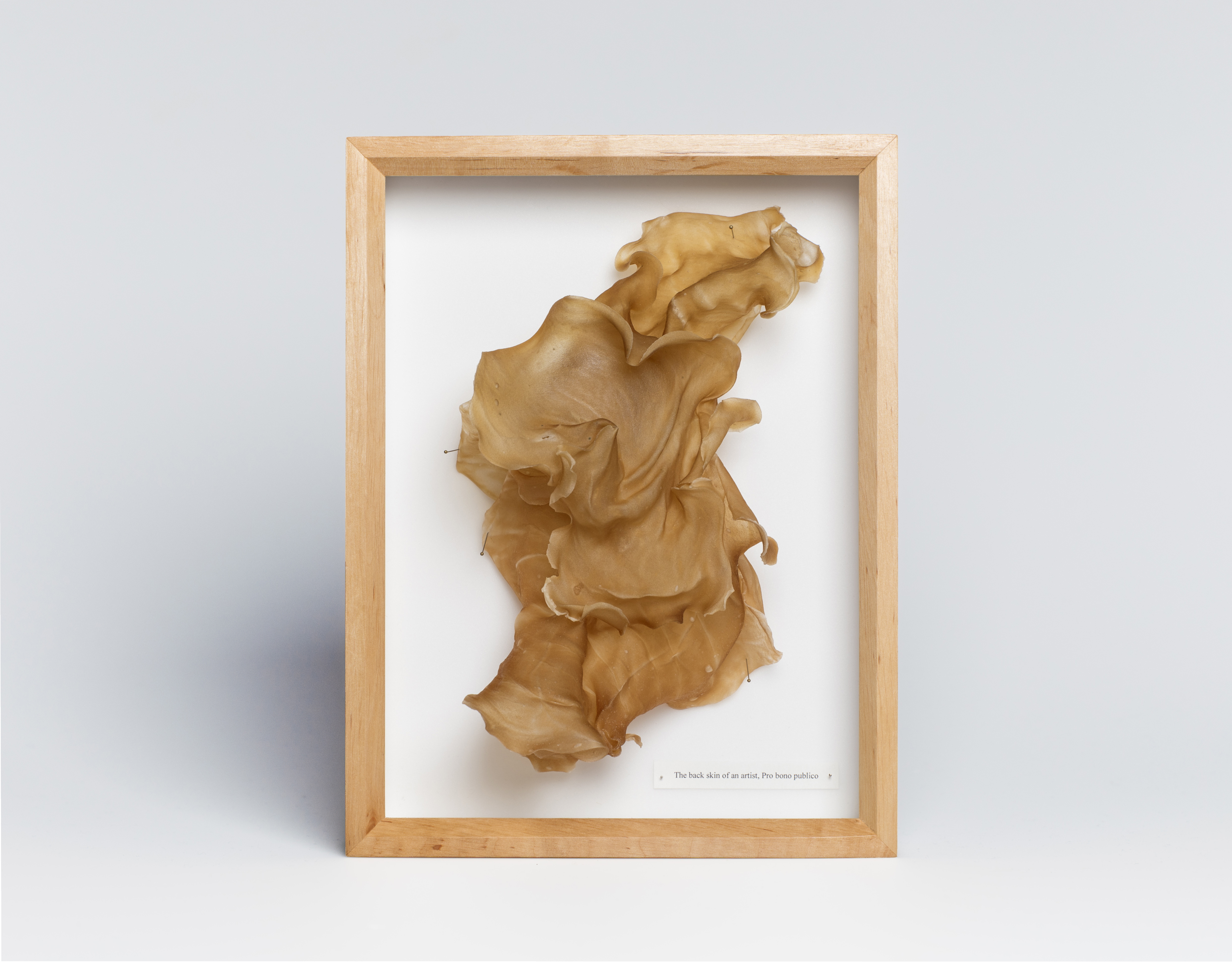 The back skin of an artist, Pro bono publico (2023)