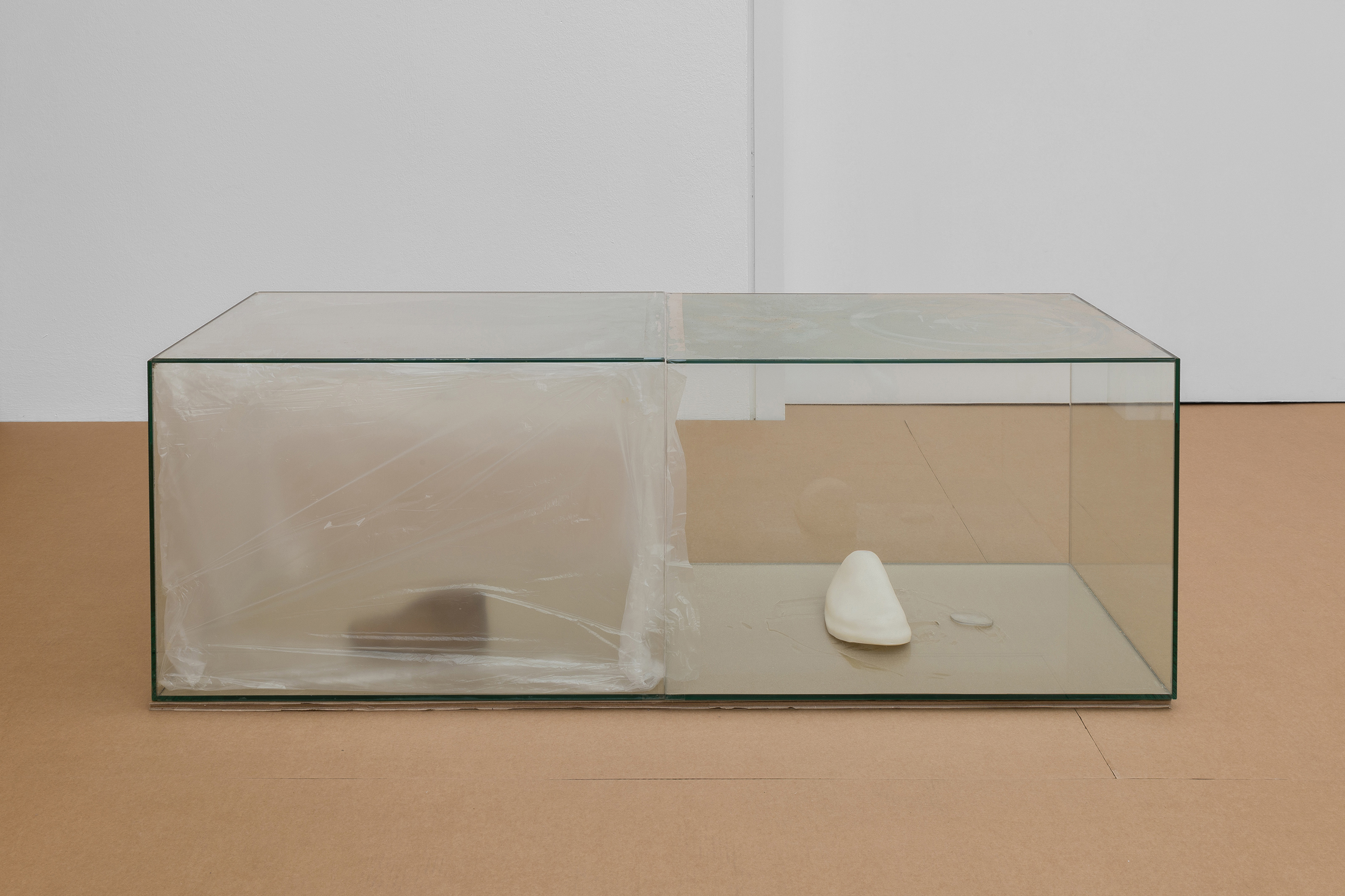 Variations of a Shoe (Clock), 2025. Reused glass vitrines, dust, fixative, plastic foil, tape, children-sized handmade wooden shoe last, air-dry porcelain, eyeglass lens from the artist's mother. 120 x 40 x 45 cm