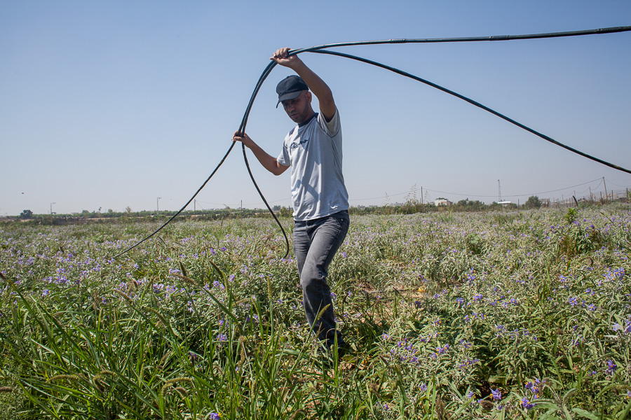 Beit Hanoun, juillet 2012. Saber est un activiste qui s'implique notamment dans les actions d'aide aux fermiers : manifestations dans la buffer zone, aide aux travaux dans les cahmps proches de la buffer zone.