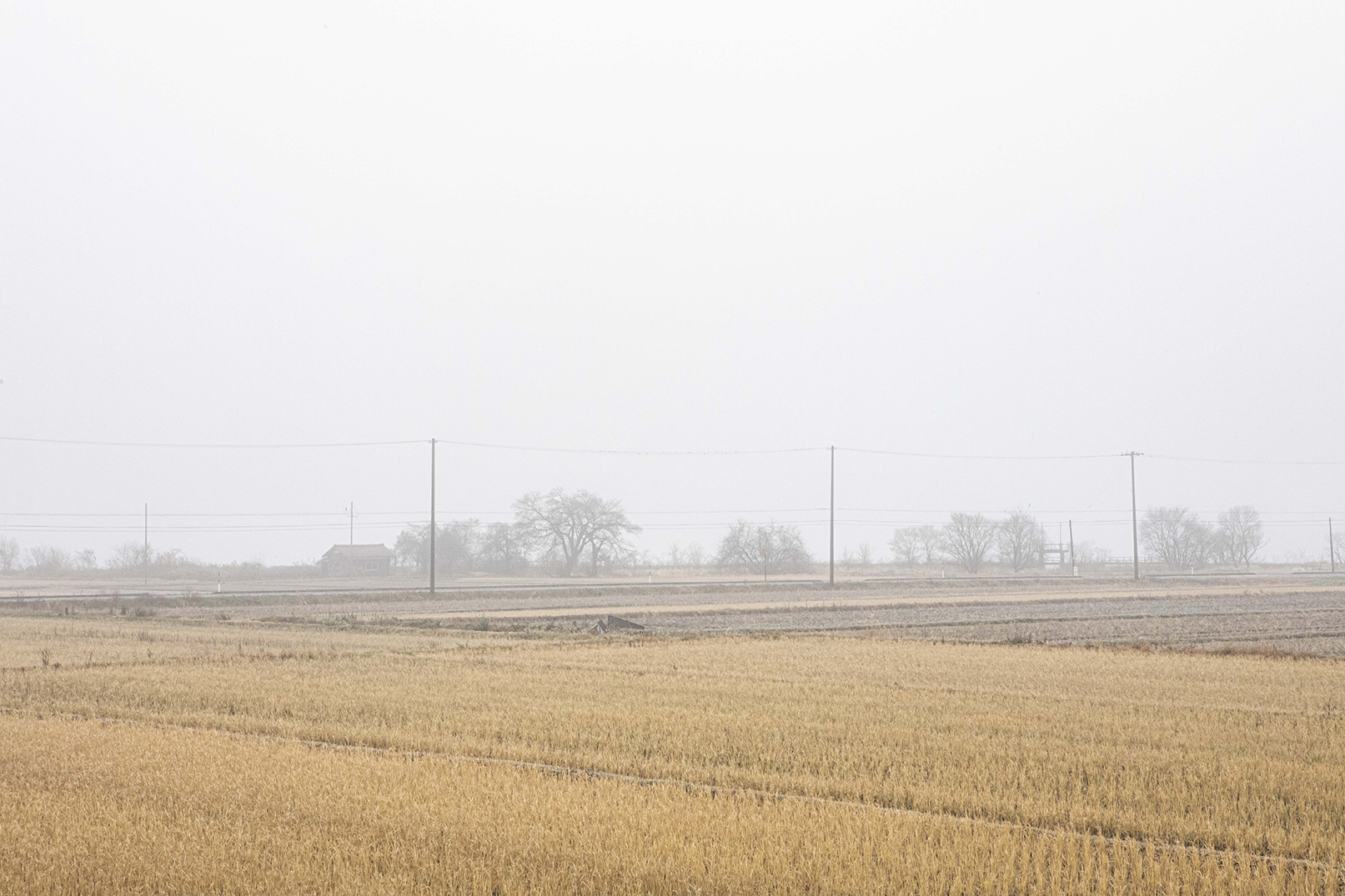 PHOTOGRAPHY RAF STUDIO at  VILLA KUJOYAMA