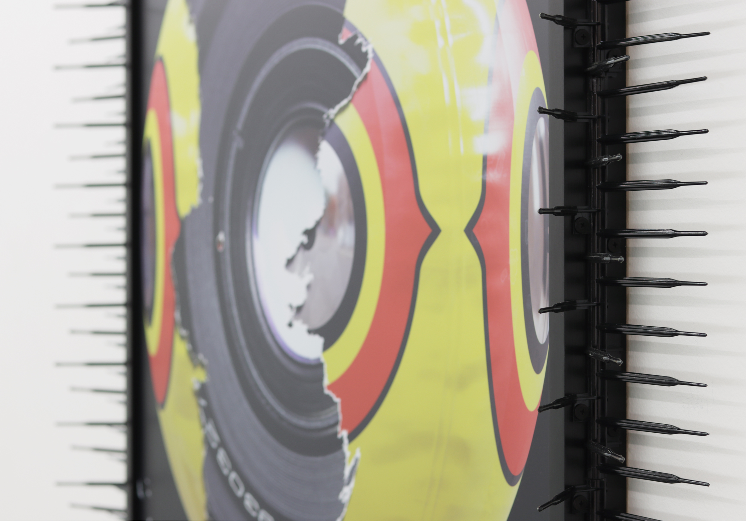 The captive eye (telephoto/bird scare) (detail), 2023, thermoplastic bird deterrents, laminated inkjet print on vinyl, custom frame, 41 x 41 x 5 in. (104 x 104 x 11 cm)