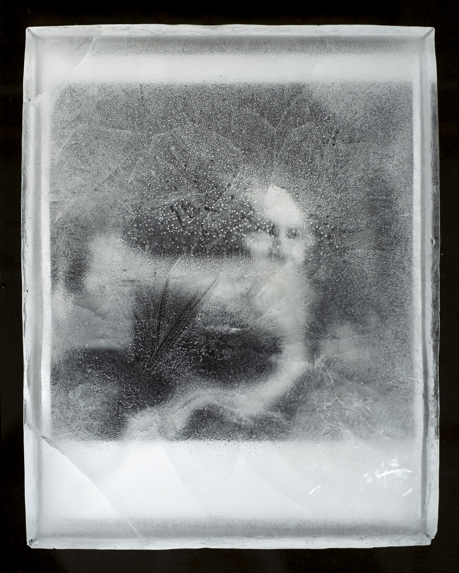 © Frédéric FROUMENT