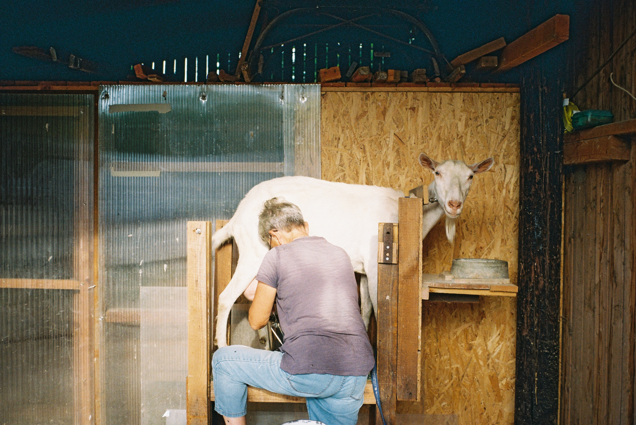 Morning Routine, 2021