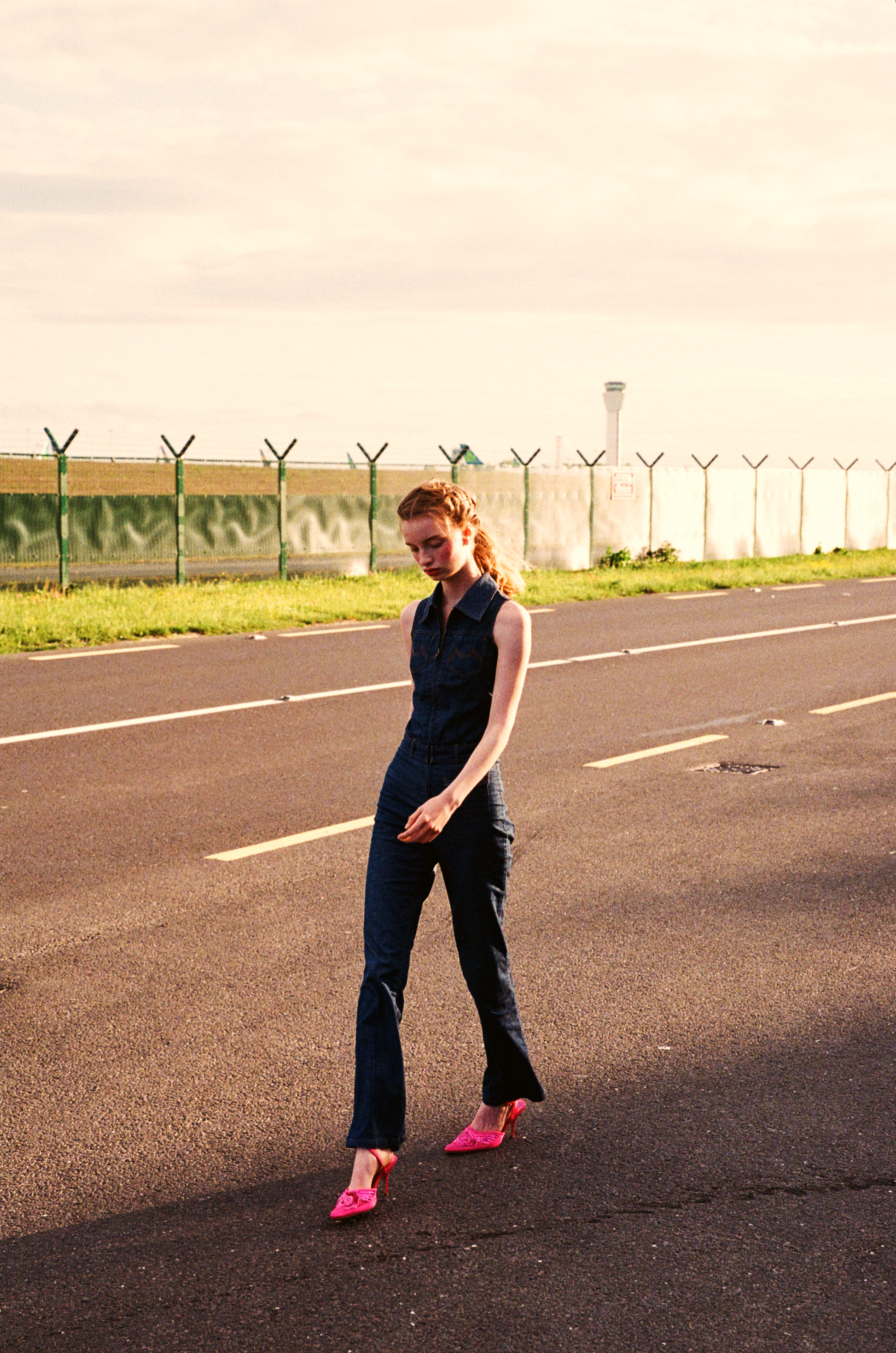 Taking Flight - Totally Dublin