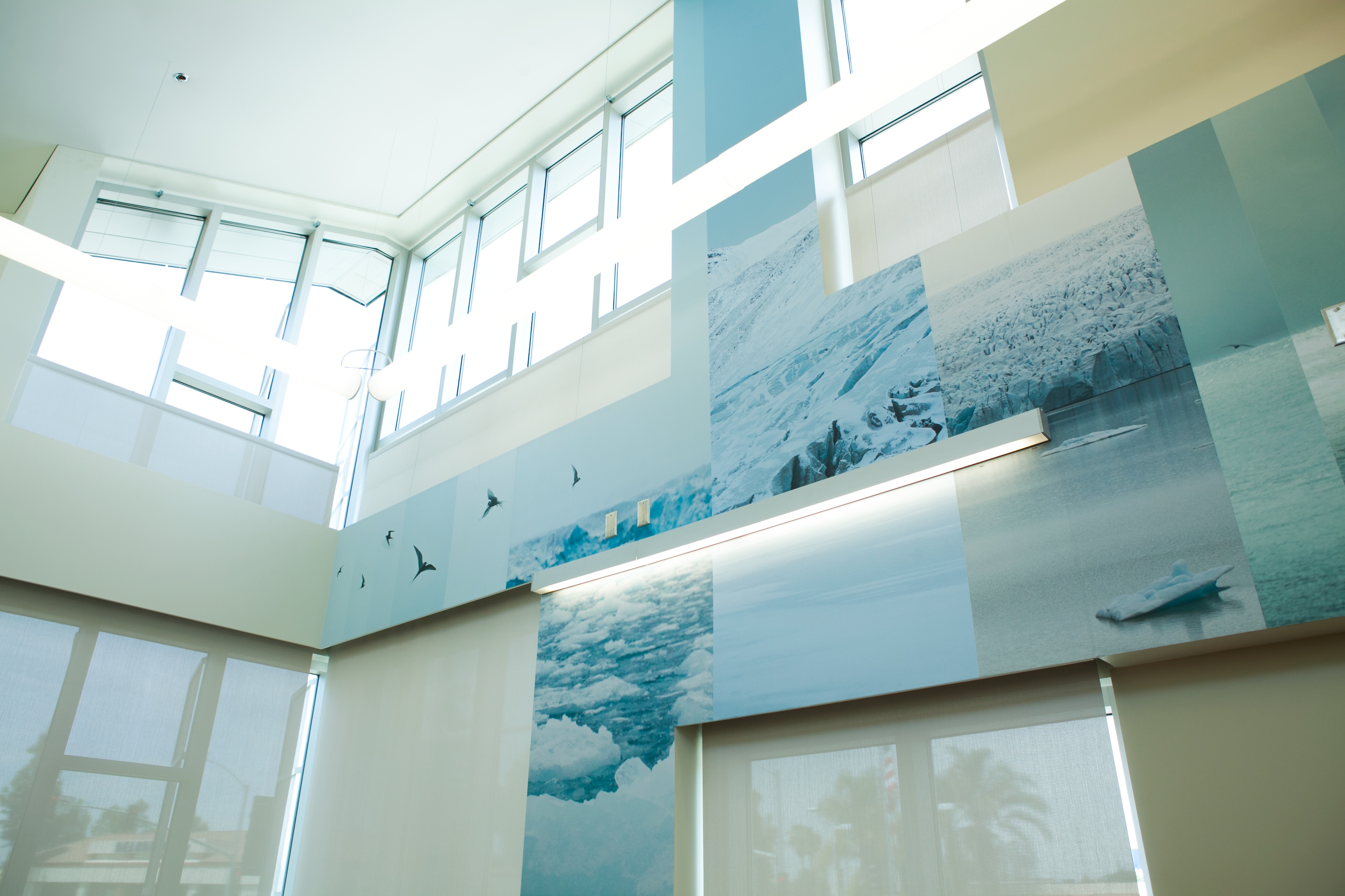 CircumSolar, Migration 2, 2013. Public art at the Pico Rivera Public Library, commissioned by the Los Angeles Arts Commission. Mural. Fire retardant canvas and ink. 132 ft. long x 25 ft. high. ~1,250 sq. ft. approximately.