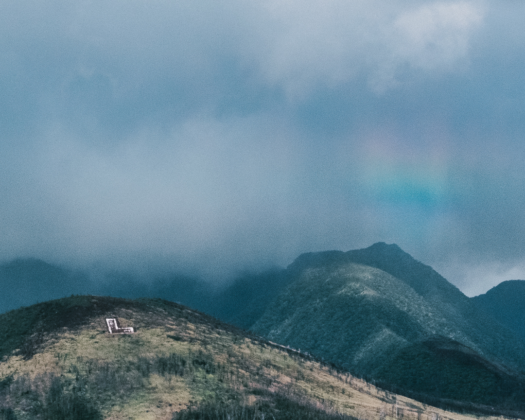 Le Monde - Afer the Maui fires