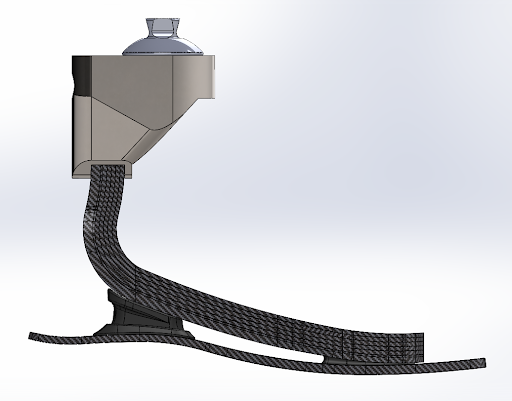 five carbon-fiber stacked springs, all fixed only at the toe end