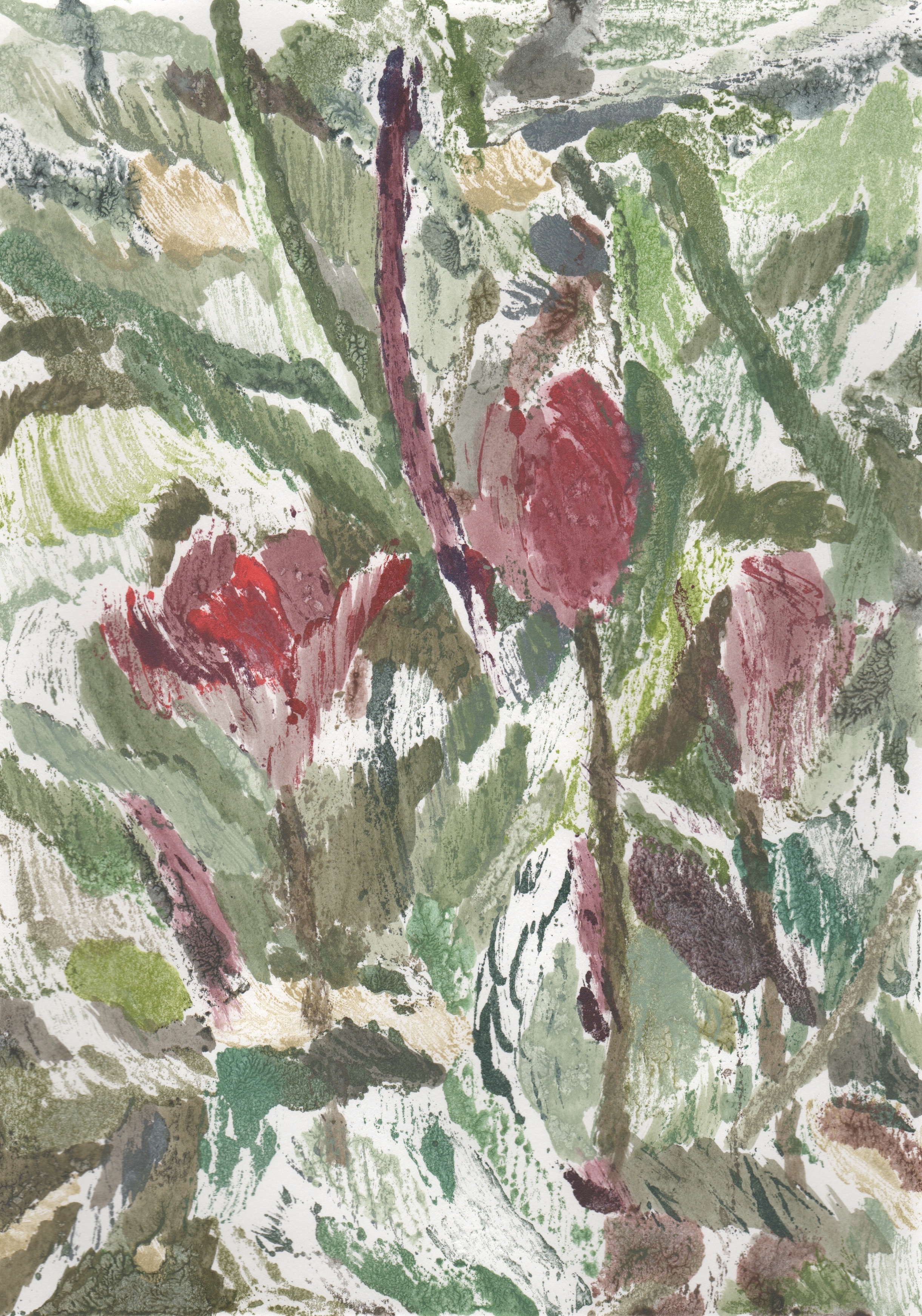 Tulips, monotype and acrylic on paper