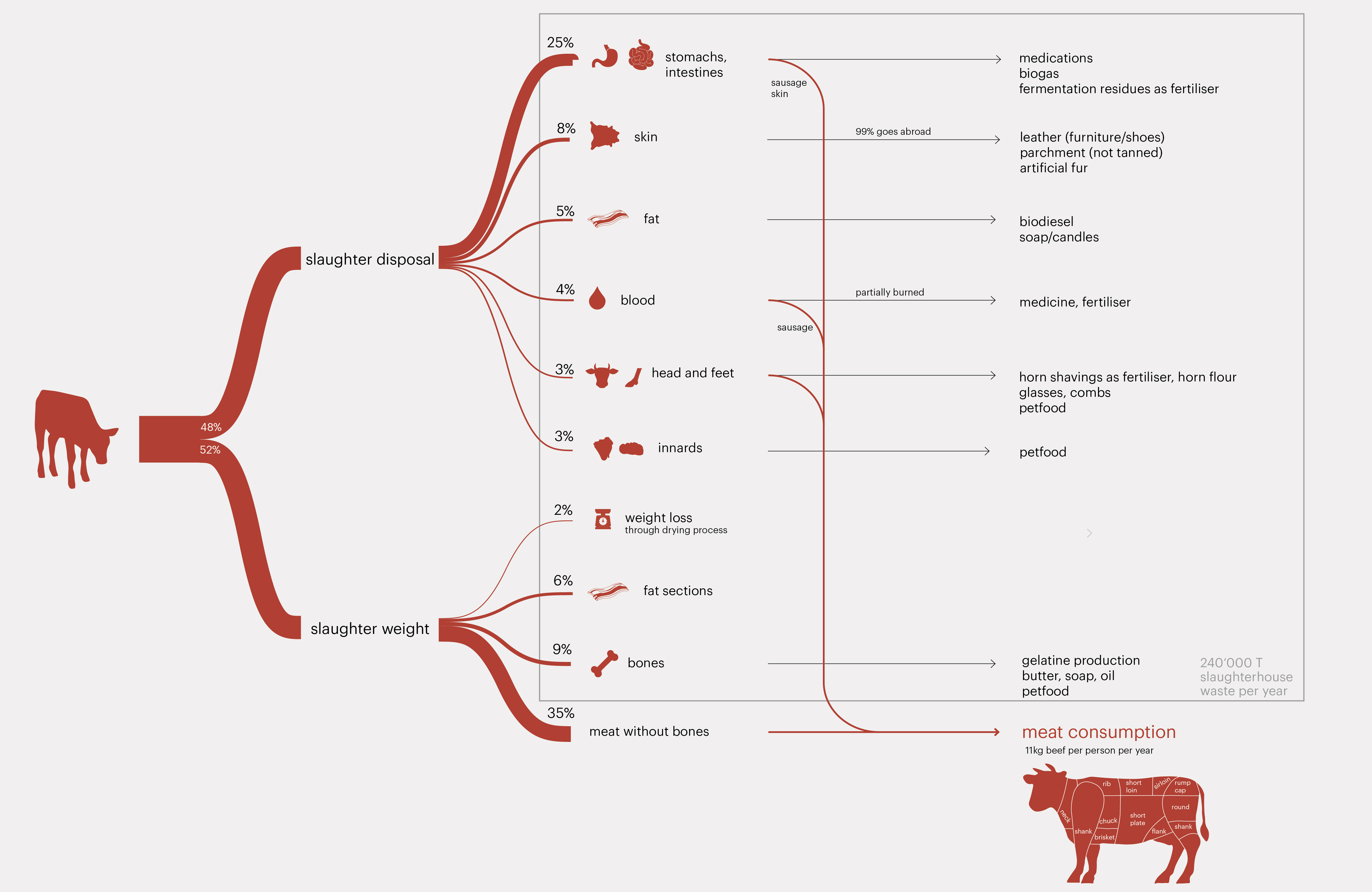 Beef processing, half of the cold slaughterweight eventually goes to human consumption. Source: Schweizer Fleisch, 2019.