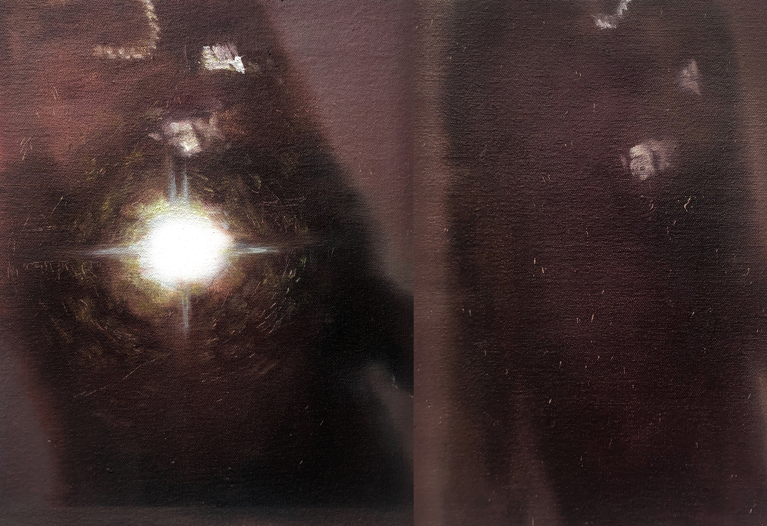 Decay (Double)Oil on Canvas50 x 35cm (Diptych)