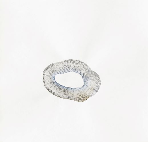 Série Cosmos [détail], 2013-2017Aquarelle sur papier, 37 x 27 cm Collection privée