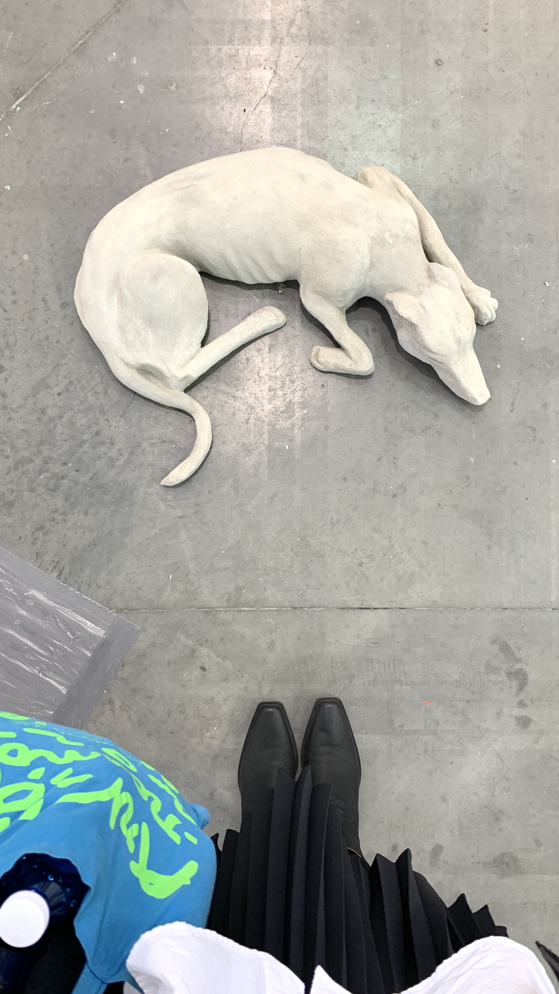 Xolo Cuintle at Sainte Anne Gallery, Paris [FR] at Artissima