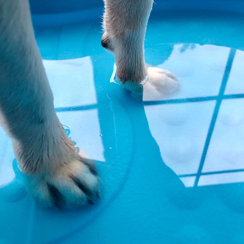 UX Project DolceVilla