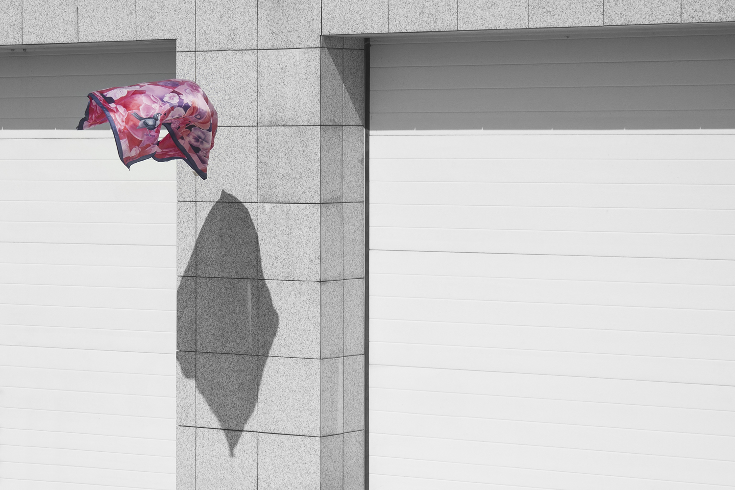 photos for Ana Rodrigues