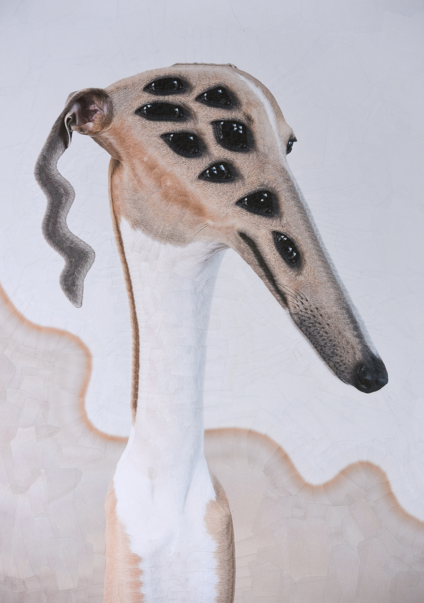 Penny, 2019, 11.5 x 16.5 inches