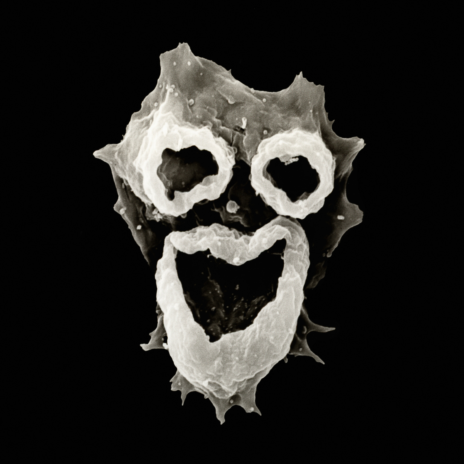 Encountering the Unseen 1+2