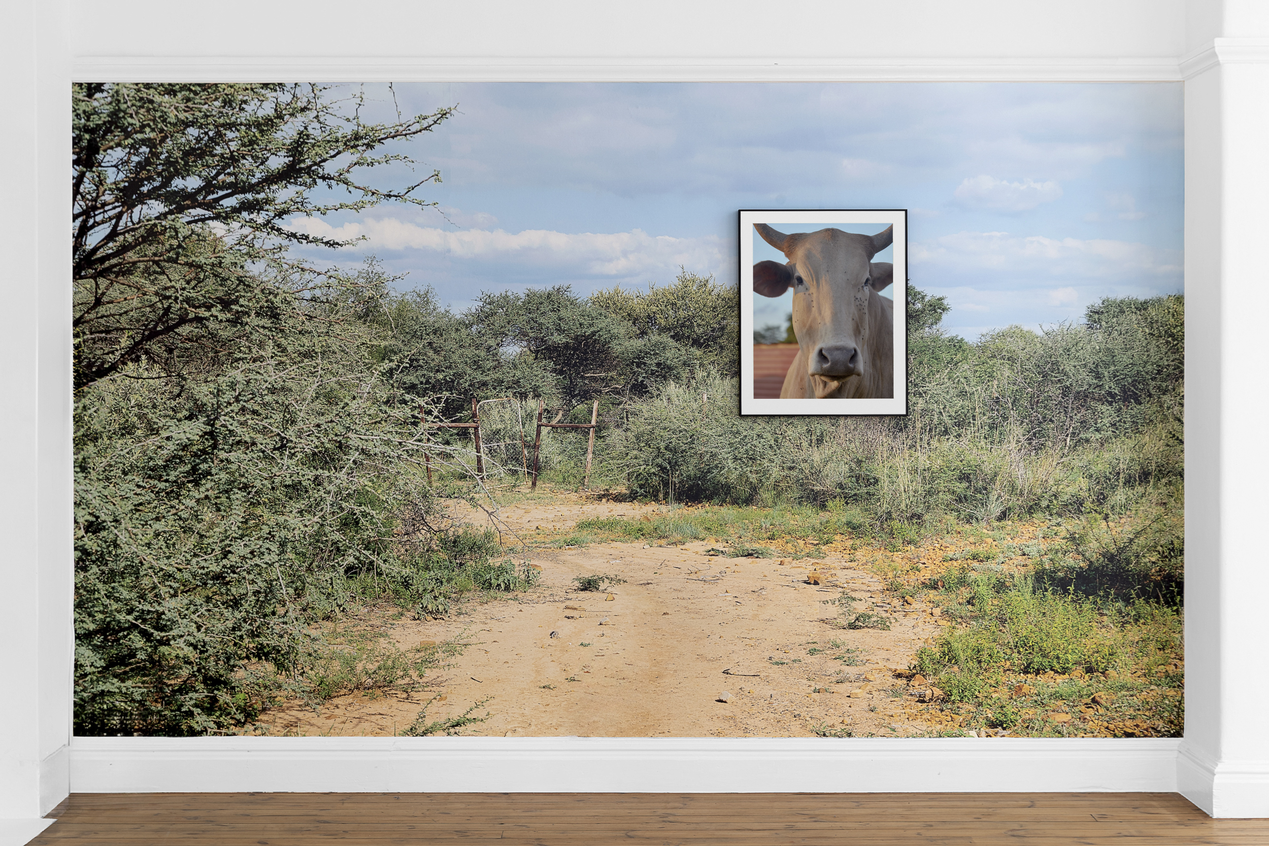 We Didn’t Choose to be Born Here, Lemkus Gallery, Cape Town, 2025