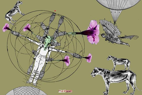 Maria Anna Ciemerych