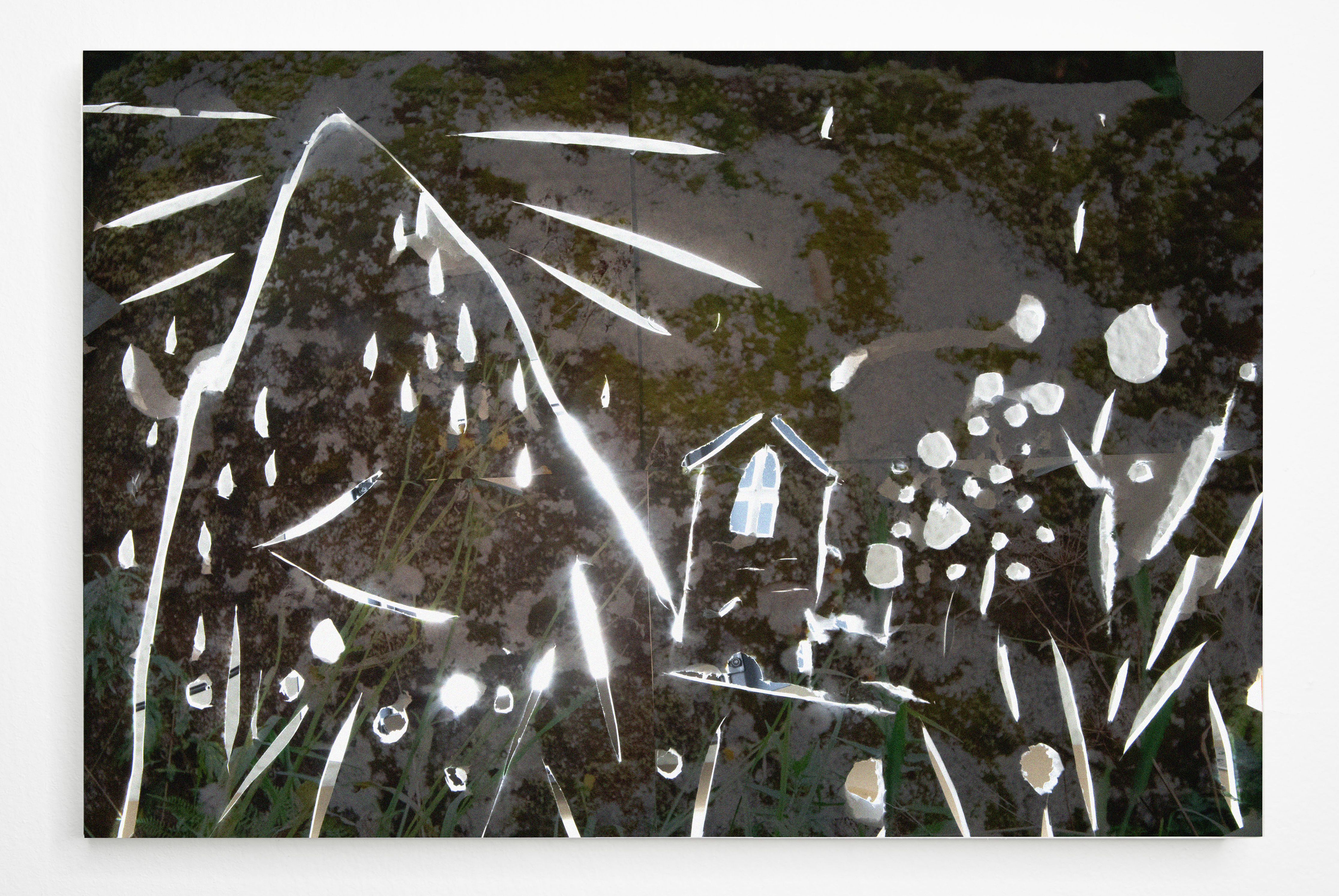 Rock IV | 8 x 12 inches | Pigment Print Mounted on Wood Panel | 2025