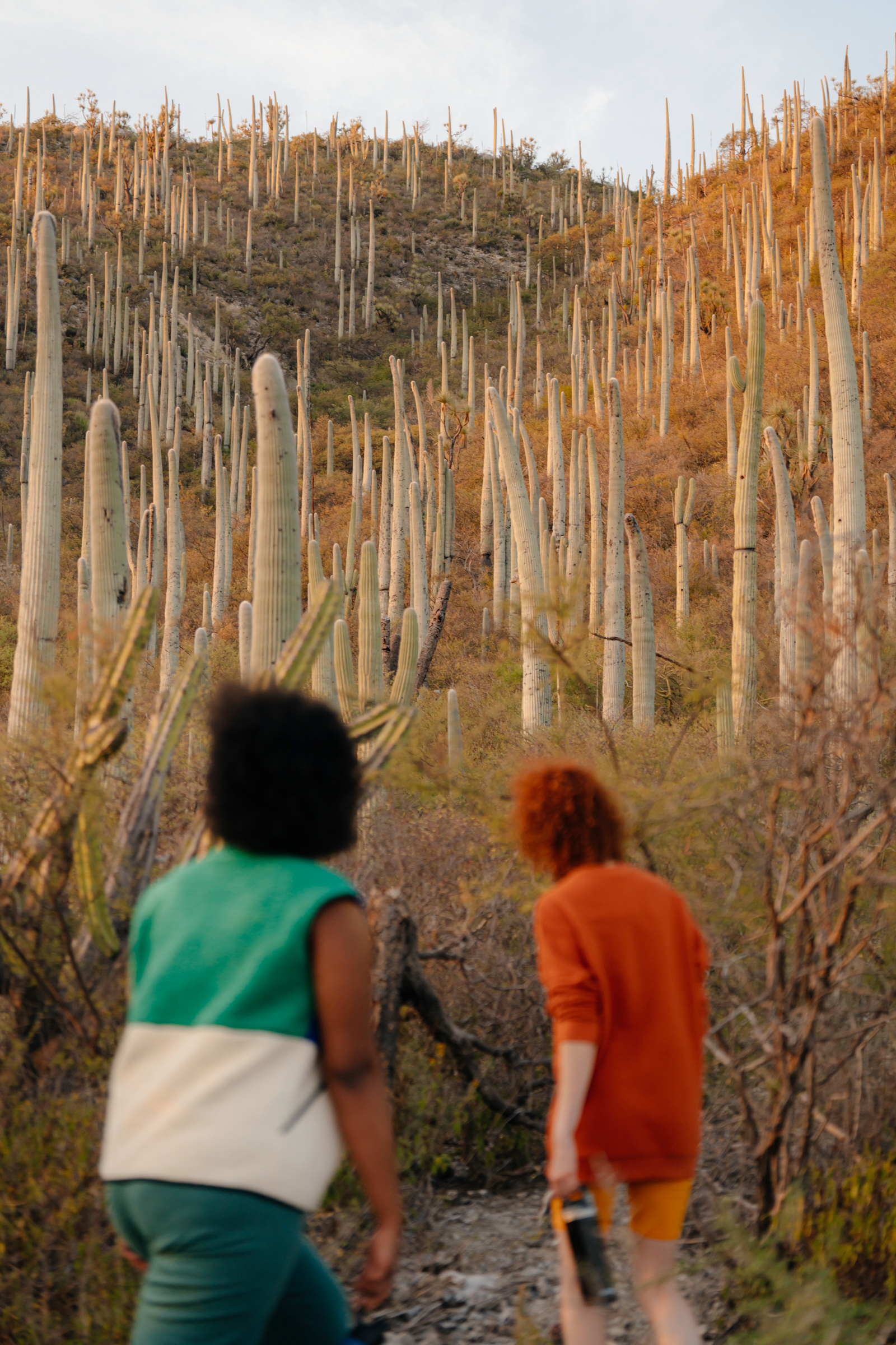 Glimpses campaign, Mexico City — Expedia, 2022