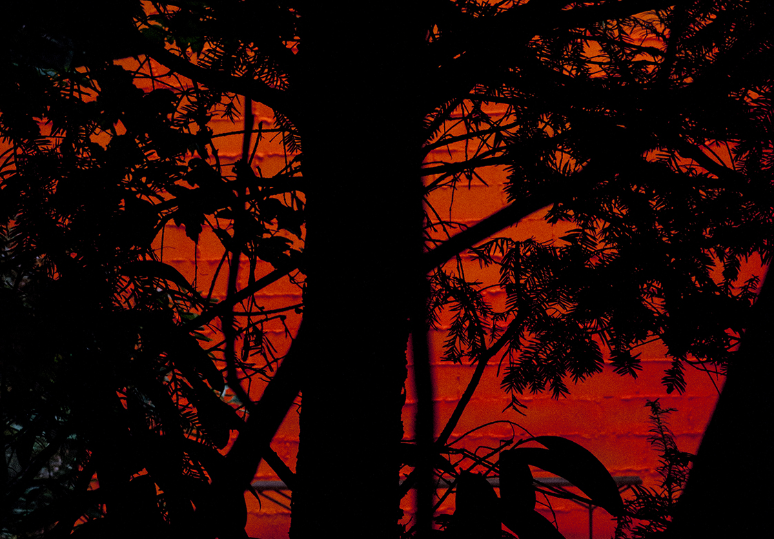 PHOTOGRAPHY RAF STUDIO LOVE SONG DIDIER FAUSTINO ARCHITECT