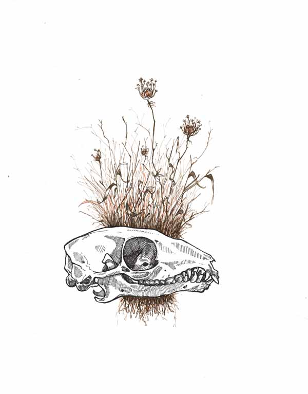 ShrewPen and Ink8"x10"2014SOLD