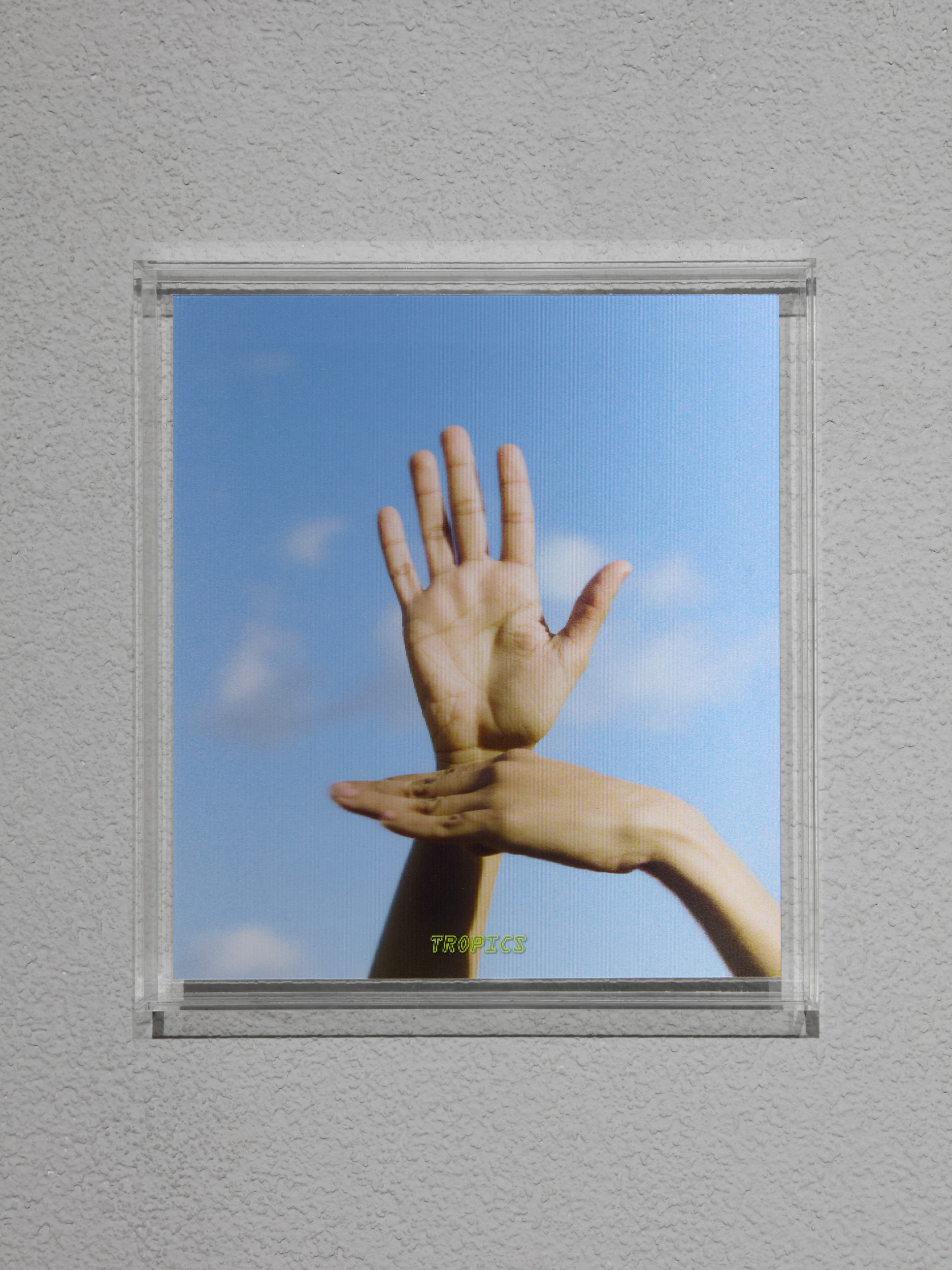 Installation view: A.I Gallery (UK)