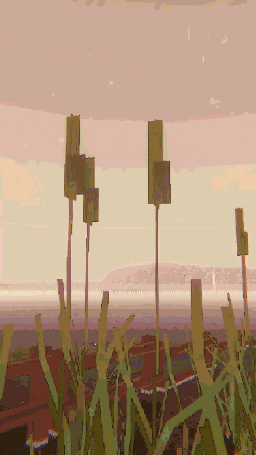 cat-tails, 2022(800 x 800px, GIF)