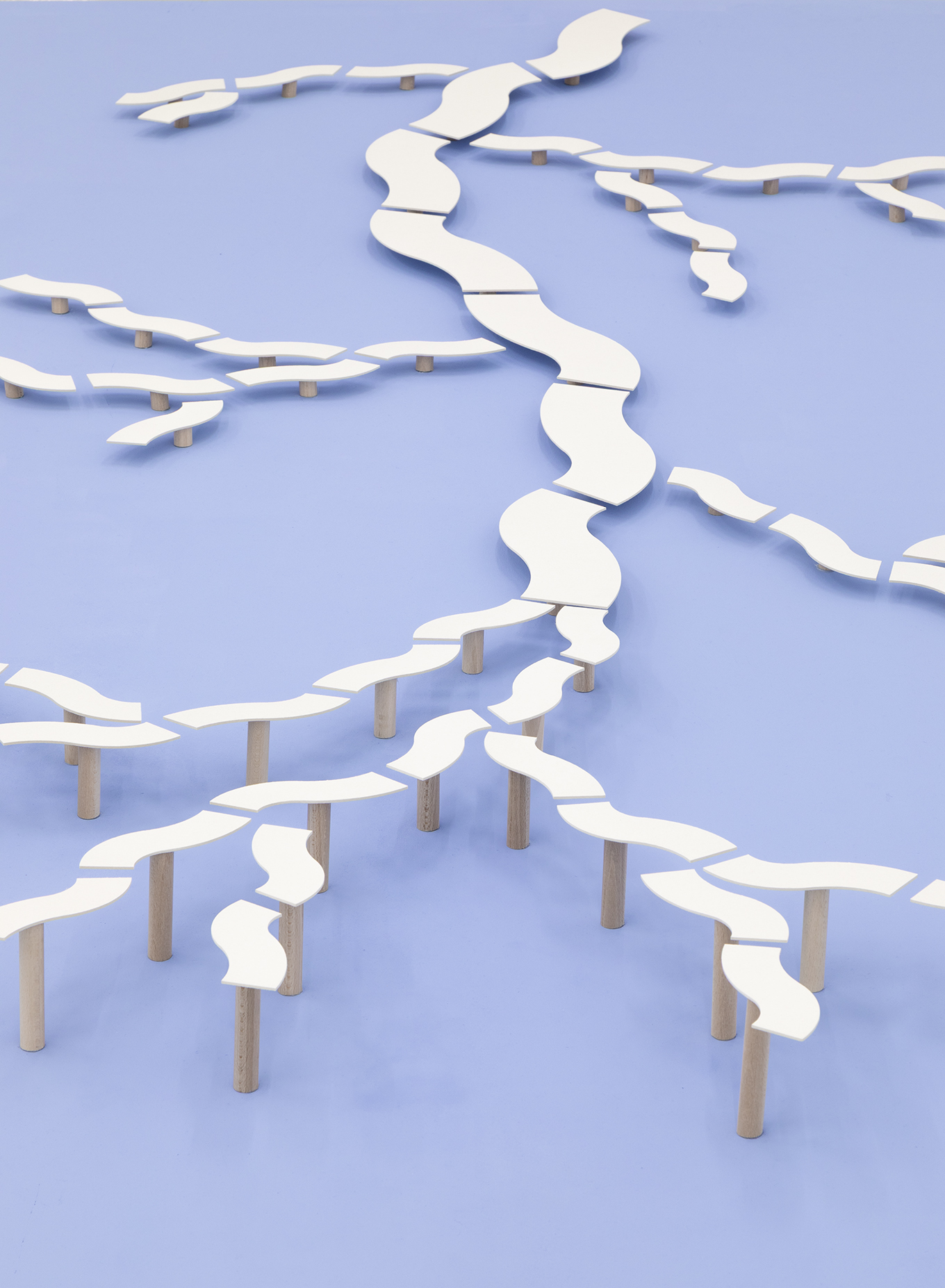 Échelle à faune. Carton, bois, hêtre. 300x110x15 cm