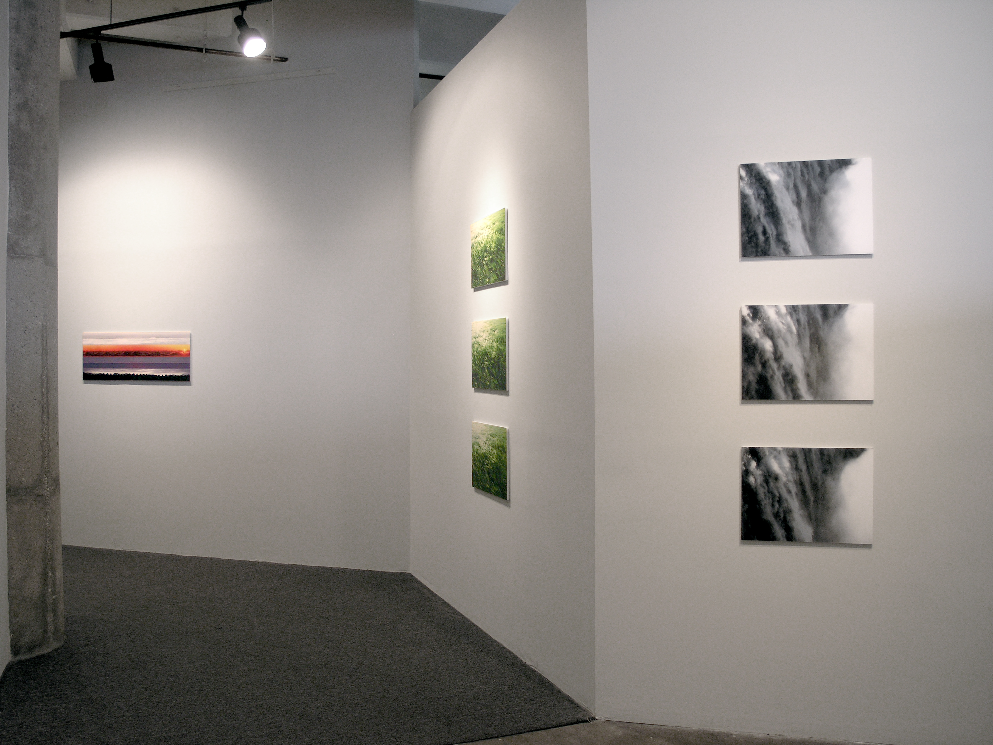 Homeland 3 series and About to Happen series, installation view at 'Each Day At Noon', Hammer Museum, Los Angeles, California, 2012.