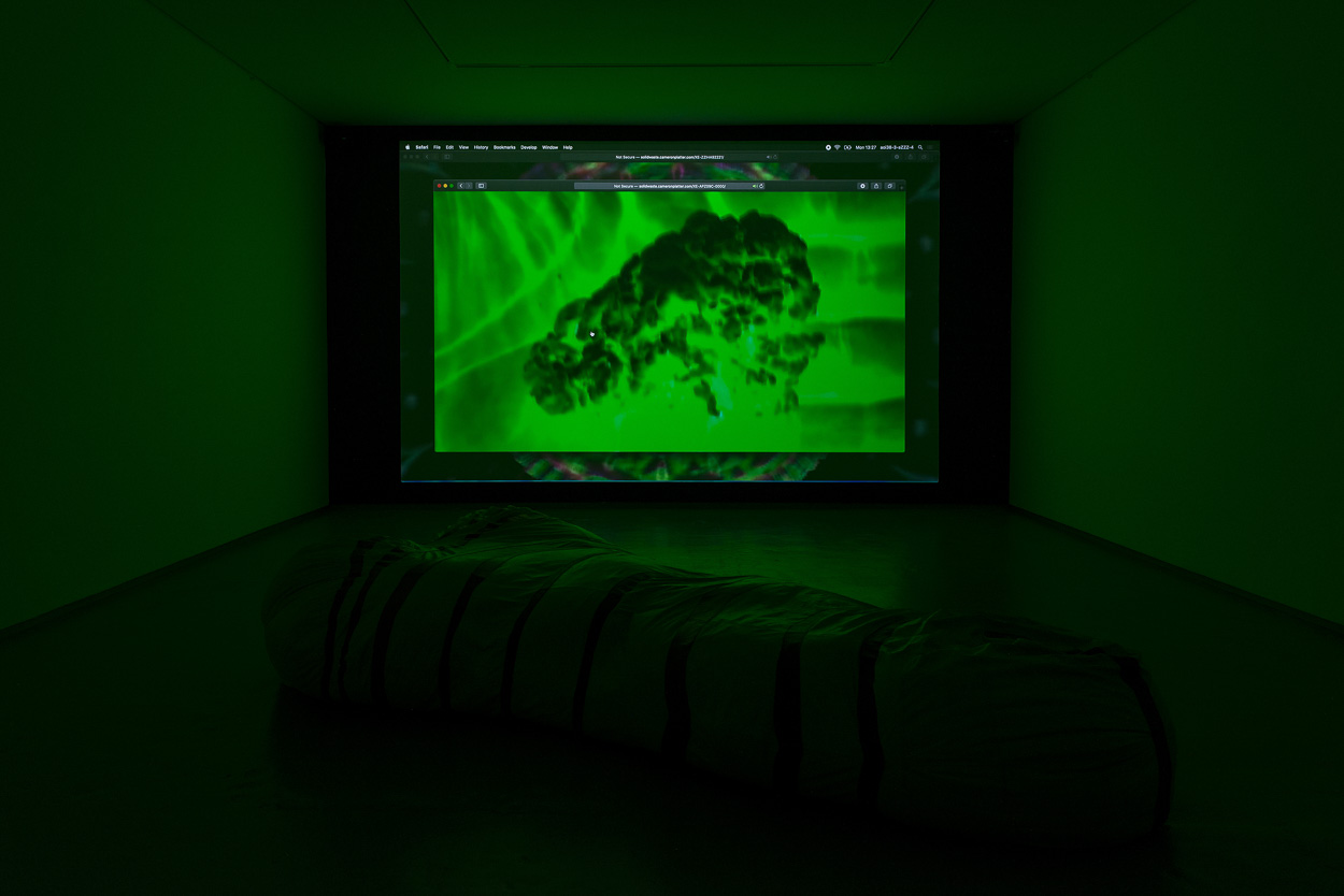 Solid Waste (with Ben Johnson),  2020. web and video installation. Whatiftheworld, Cape Town