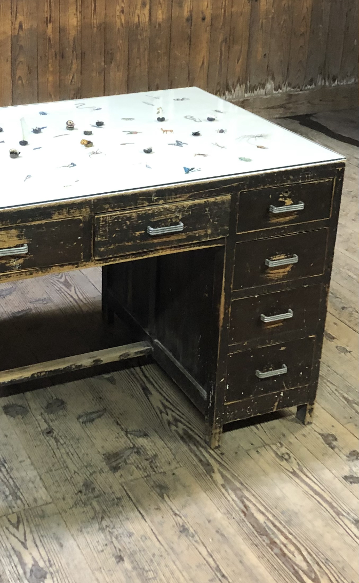 Out there Looking at Things, Bones, Feathers, Chitin, Stone, Glas and Watercolor on Paper, 104x94cm, 2022