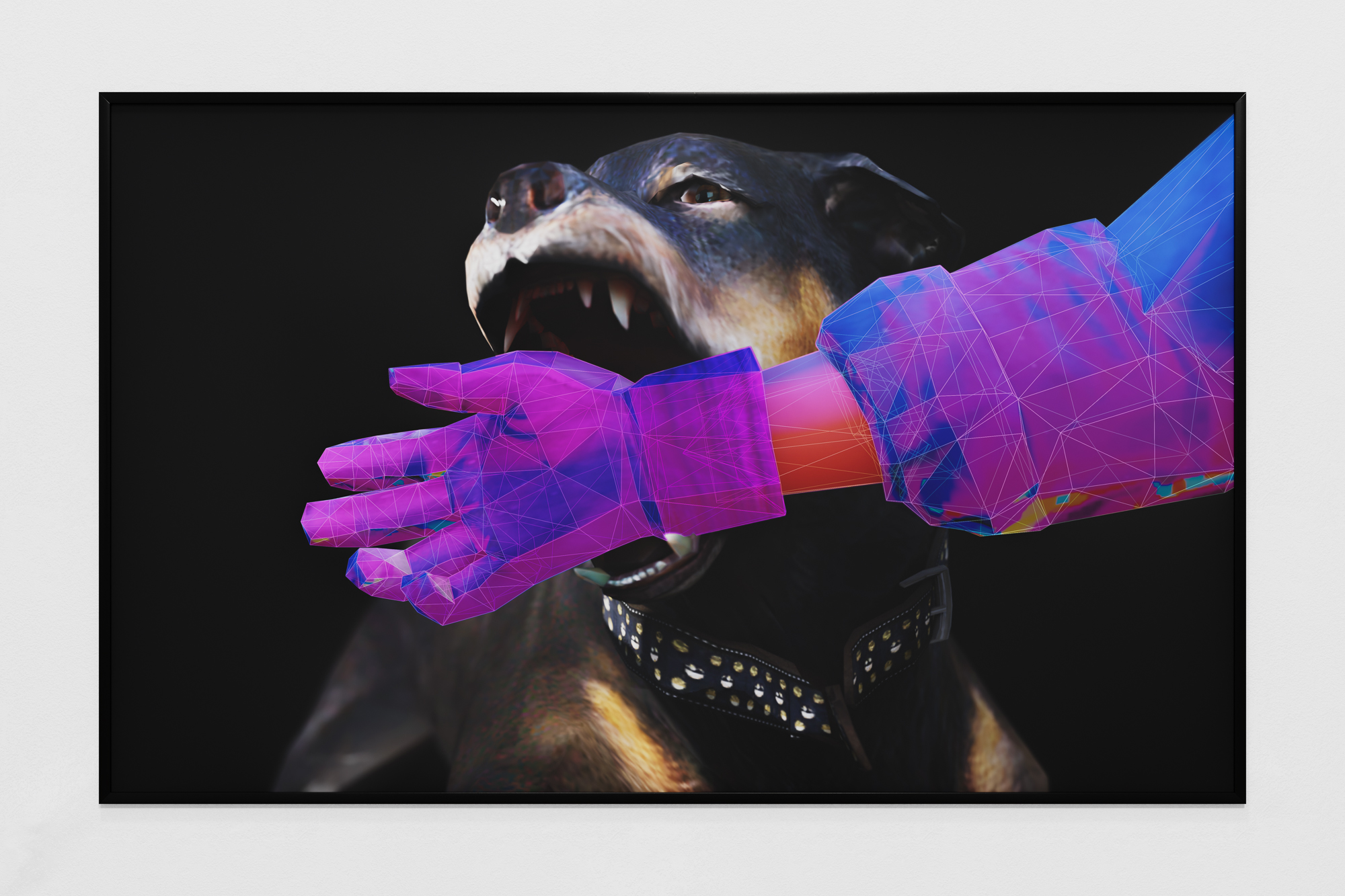 Domestic creation myth, 2022, inkjet print, 26 x 39 in. (66 x 99 cm)