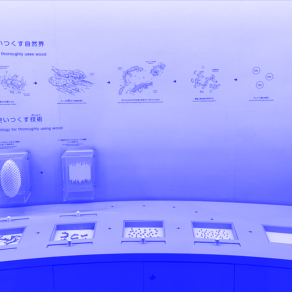 National Museum of Emerging Science and Innovation