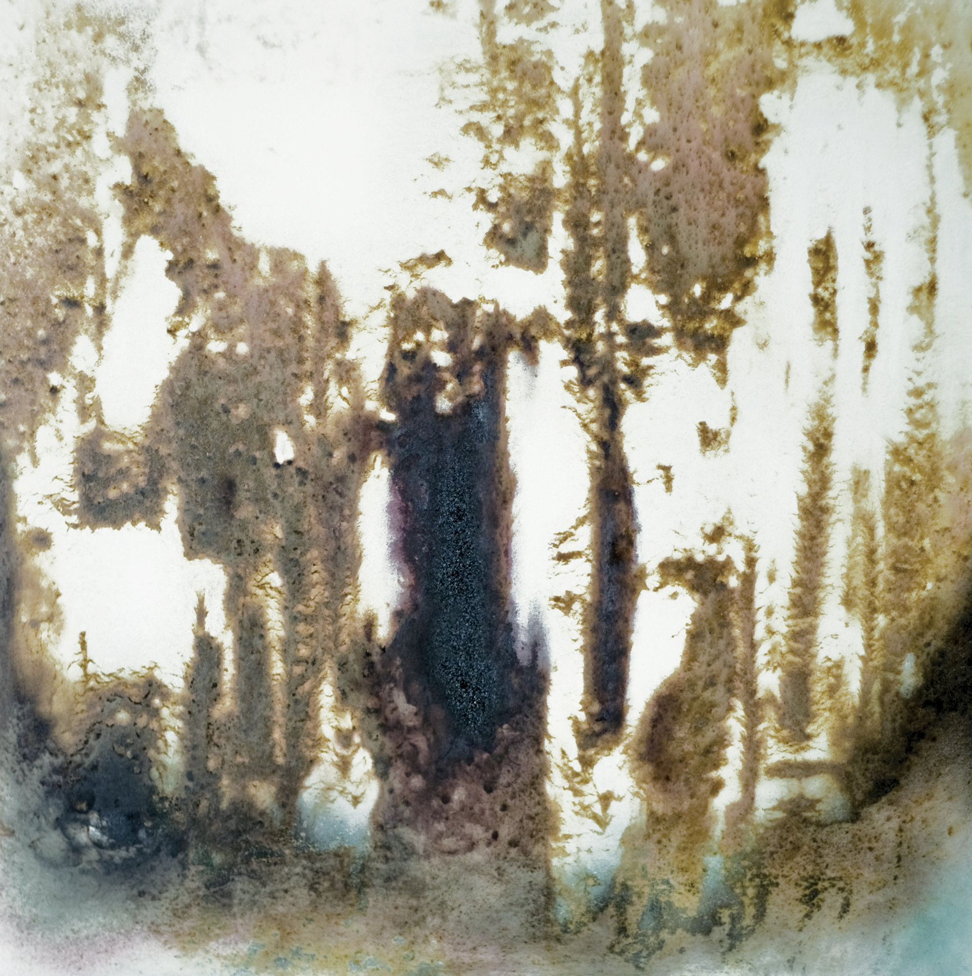 Tree Of Knowledge(70 x 70 cm)