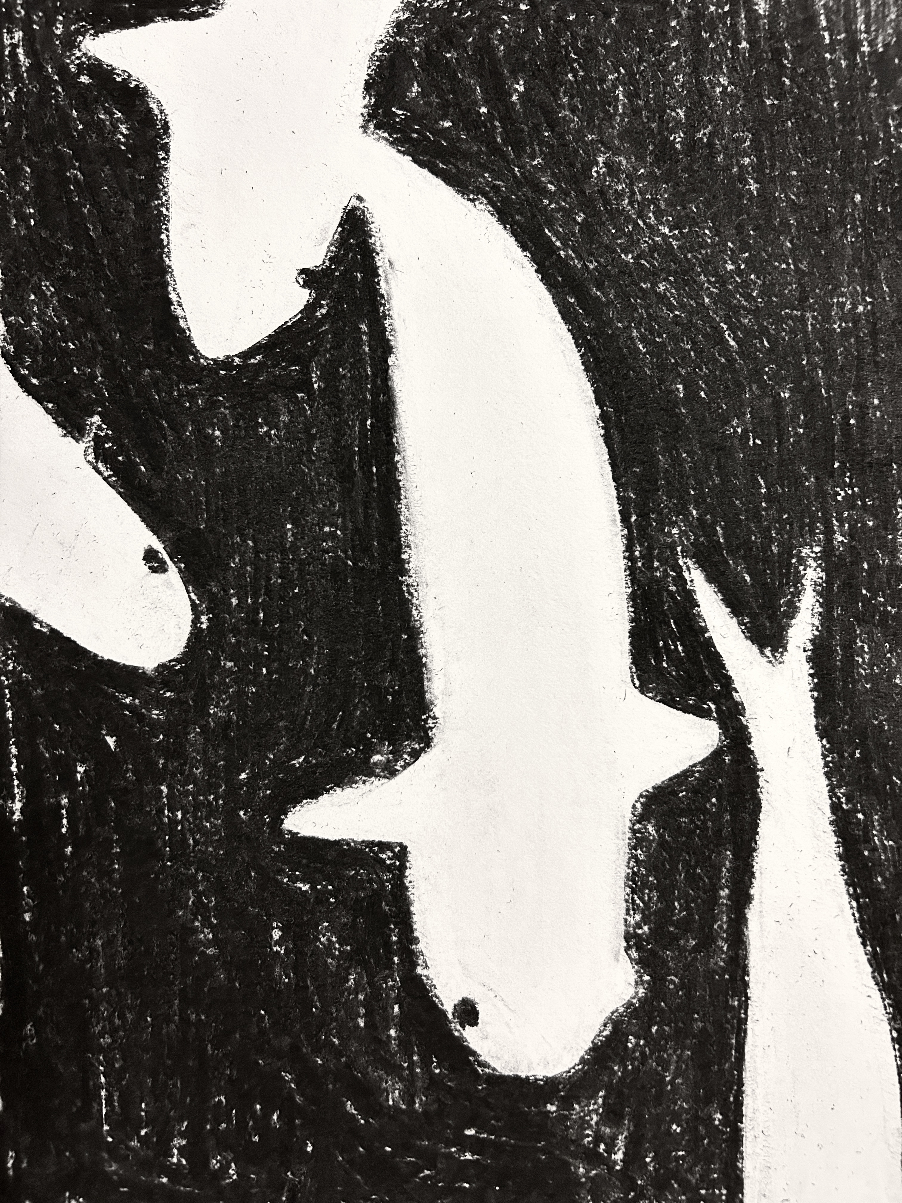 negatives, charcoal on paper, 11x15, 2023