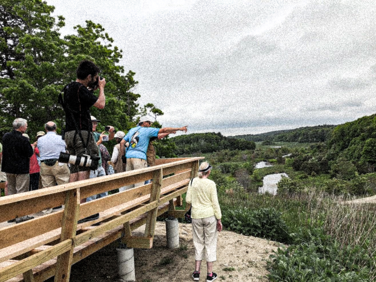 https://plymouth.wickedlocal.com/news/20180607/tidmarsh-wildlife-sanctuary-is-open-for-business