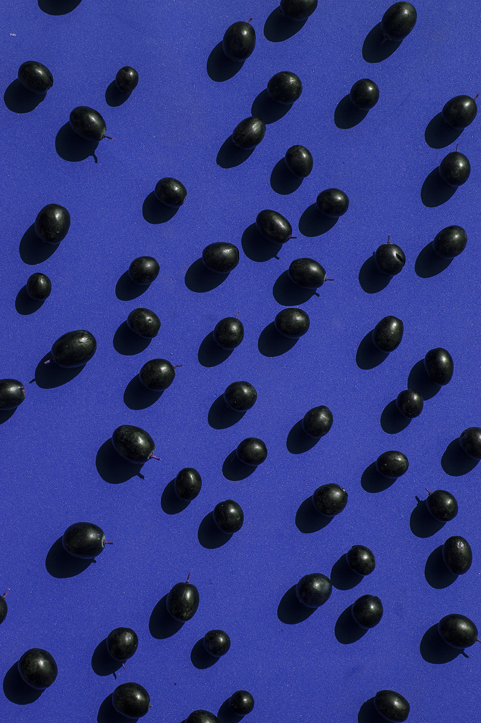 PHOTOGRAPHY BY RAF STUDIO FOR DISEGNO MAGAZINE