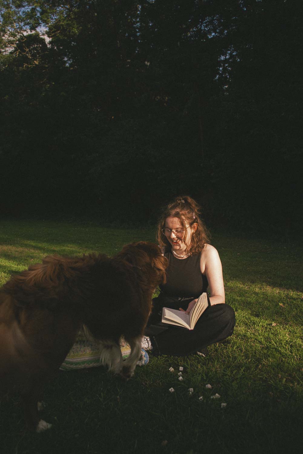 KATIE PHEALAN 'BOARD GAMES' PRESS