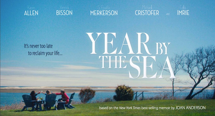 Year by the Sea (Graphics Artist)