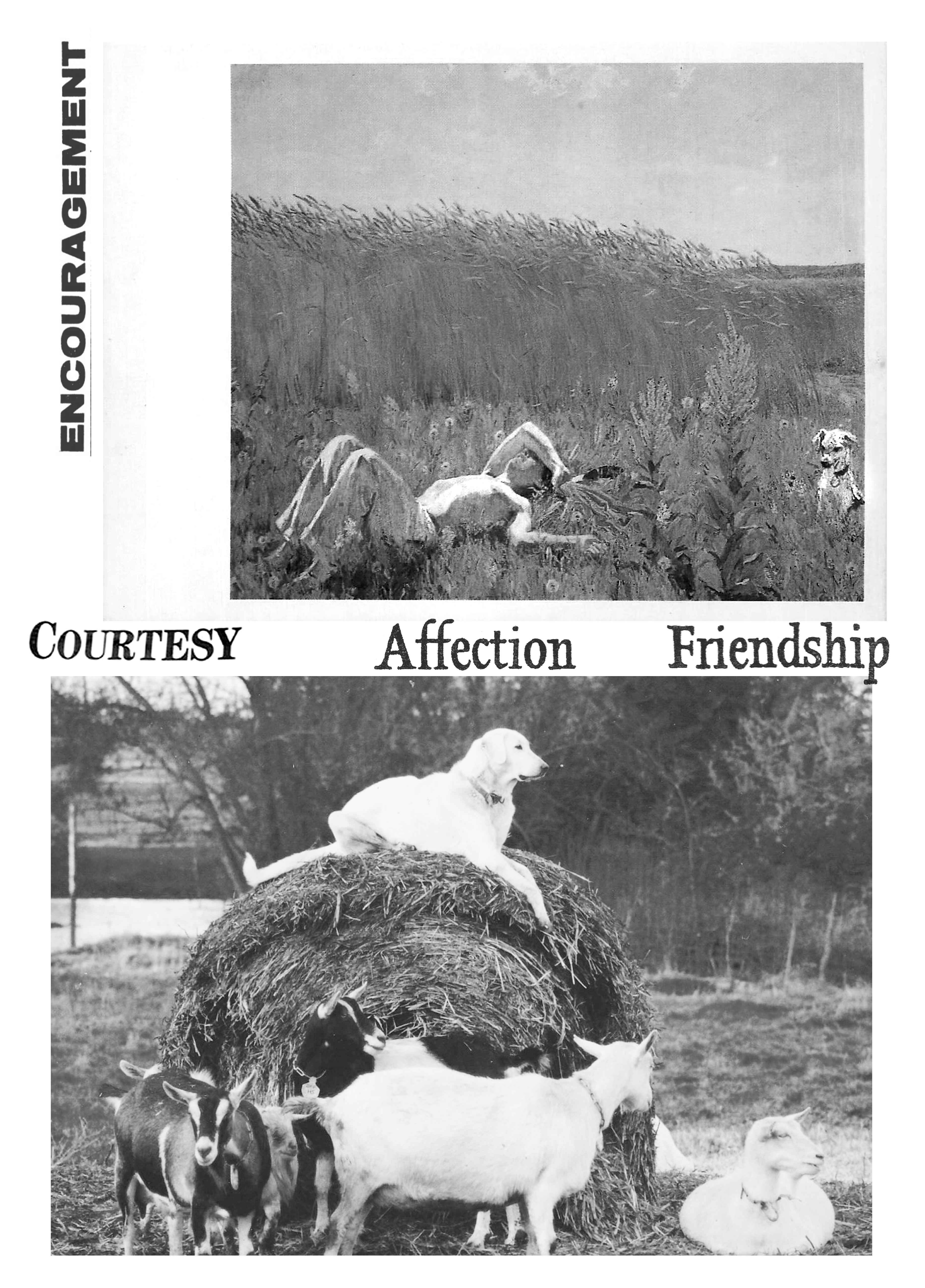 Courtesy, 2021  Paper  A3