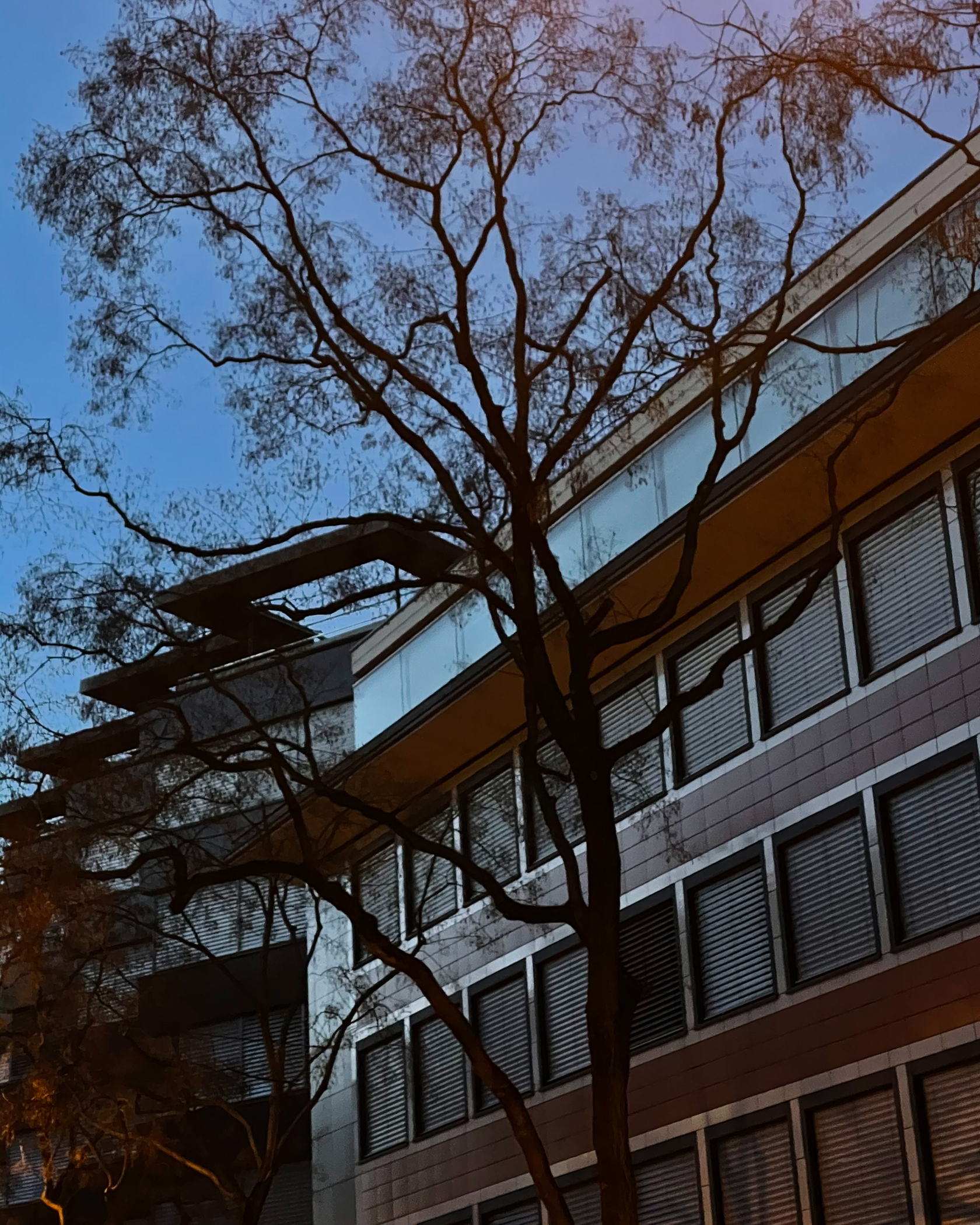 Stroll through the neighbourhood.