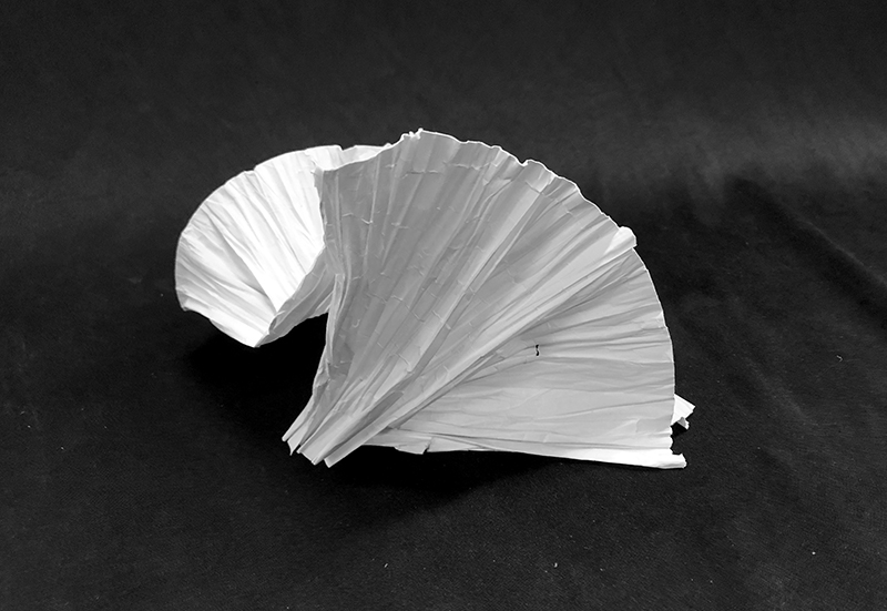 White graphine-oxide sheet folded in a spiral-like shape.