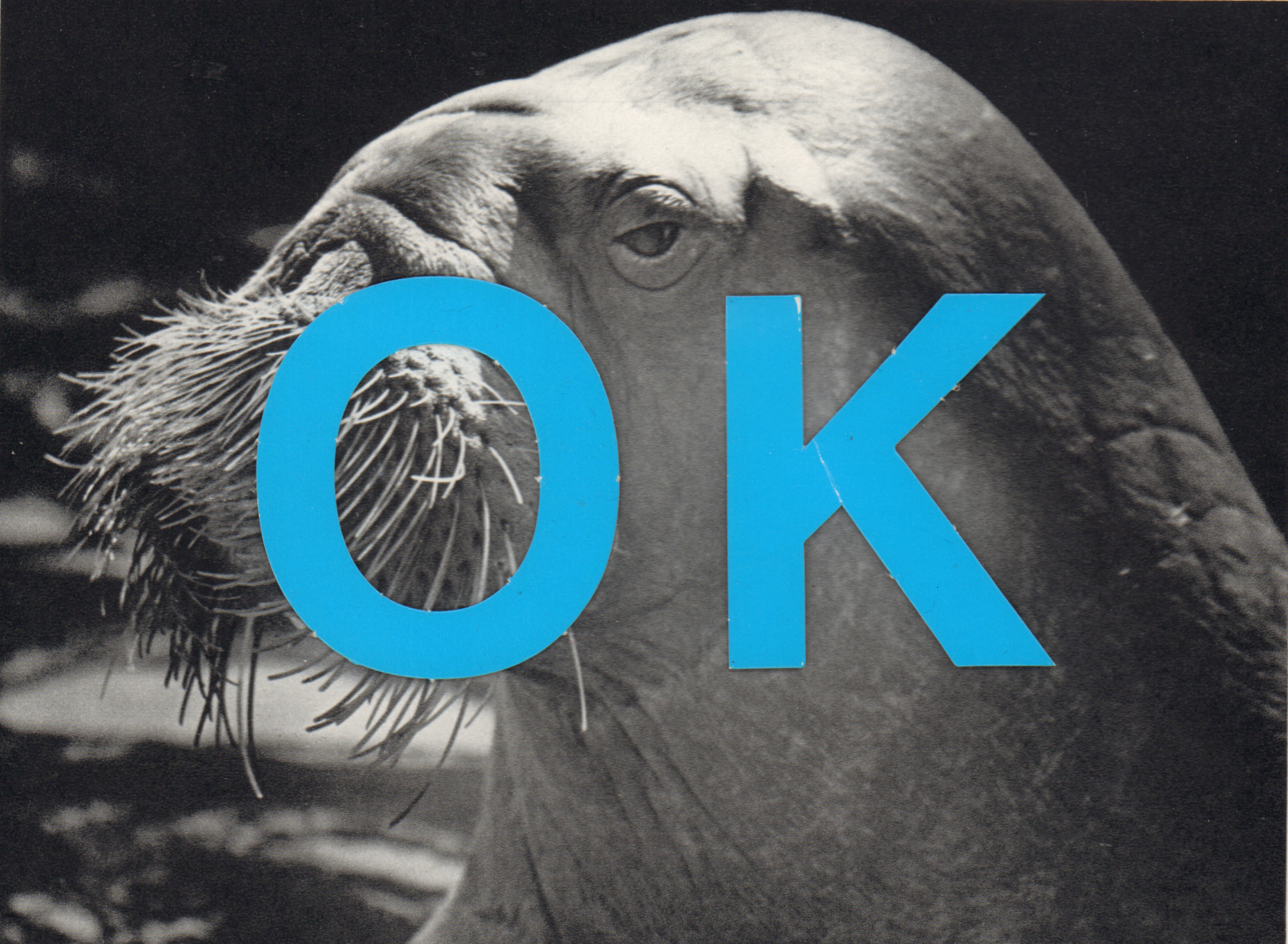 OK, 2021, photomontage, 20 x 15 cm