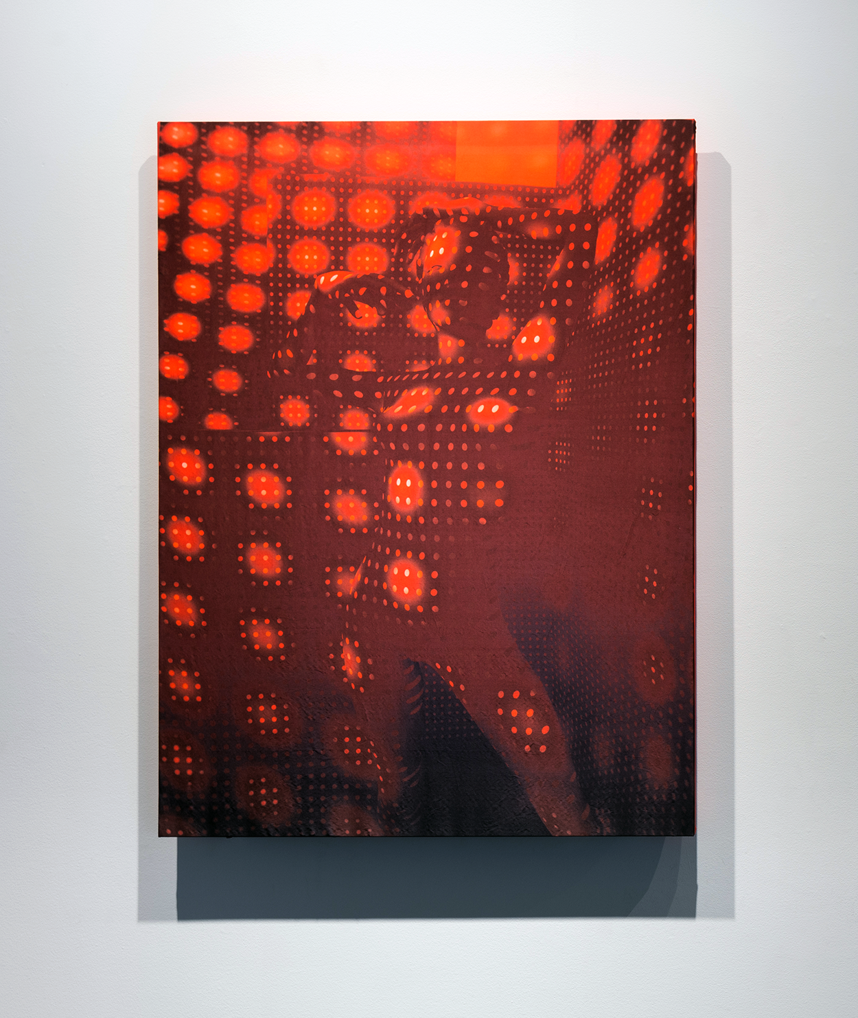 Optic Silk (Orange), 2016, 50 mm taffeta silk with dye transfer of 3D rendering, 48 x 36 inches, photo: Mario Gallucci, courtesy Upfor.