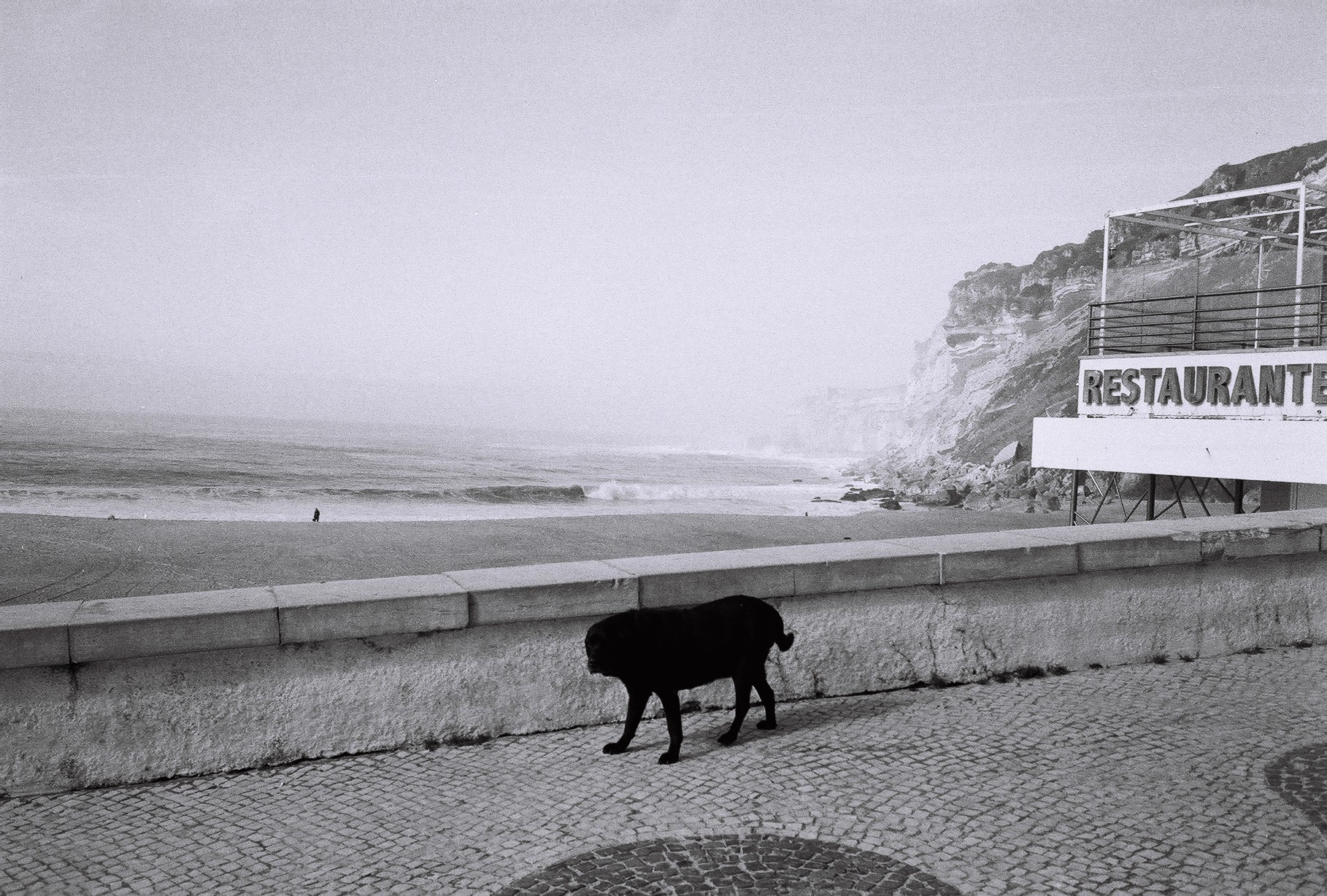 Nazaré, Portugal, 2019.